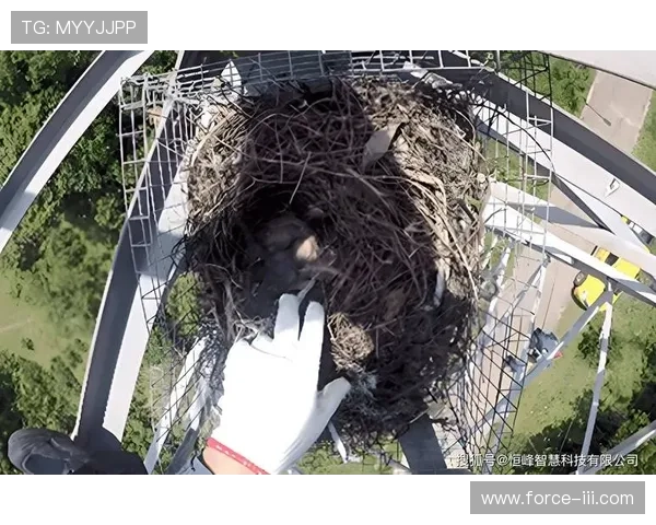 AG恒峰官网首页最新资讯尽在掌握展示全面的AG恒峰官网首页导览和最新消息为您提供便捷的导航体验与丰富的游戏资源信息详细介绍AG恒峰官网首页的特色功能和用户指南助您轻松畅游线上娱乐世界